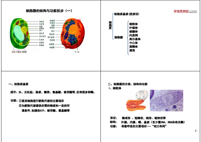 细胞器的结构与功能初步(一)