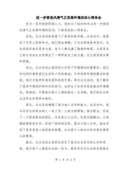 进一步营造风清气正发展环境活动心得体会