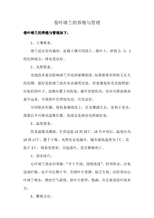 卷叶球兰的养殖与管理