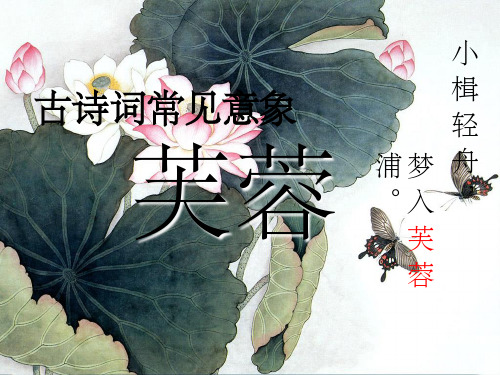 古诗词常见意象——芙蓉