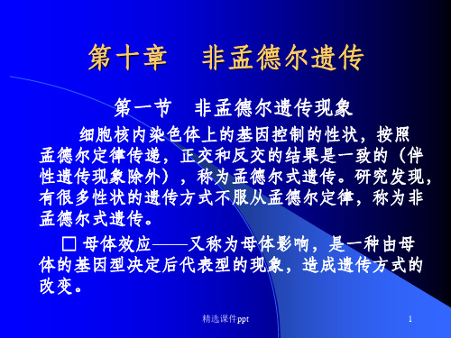 《非孟德尔遗传》PPT课件