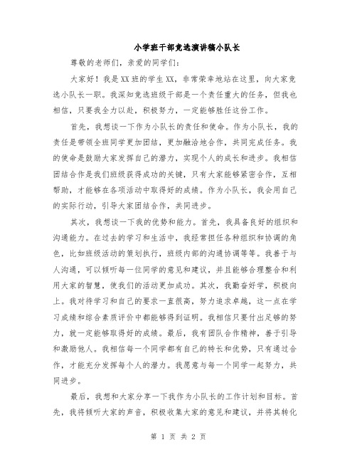 小学班干部竞选演讲稿小队长