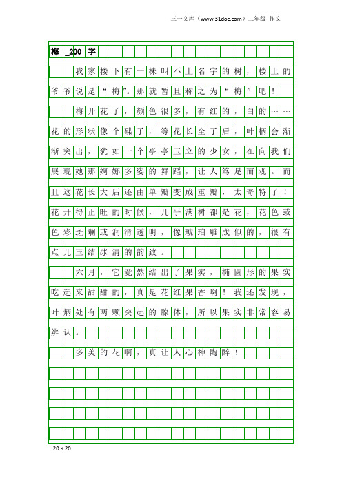 二年级作文：梅_200字