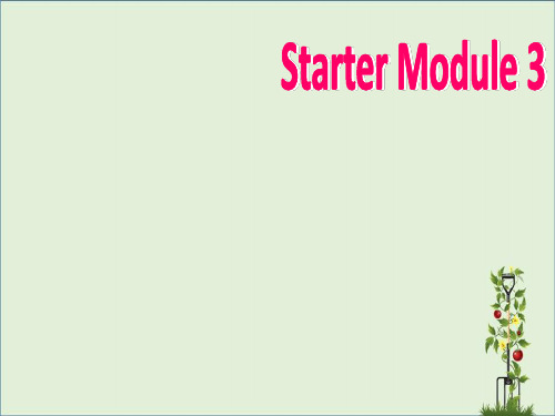 英语7年级上外研版：全册精品PPT课件(30份)(含Starter部分)Starter Module 3