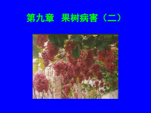 第九章 果树病害(二)幻灯片课件