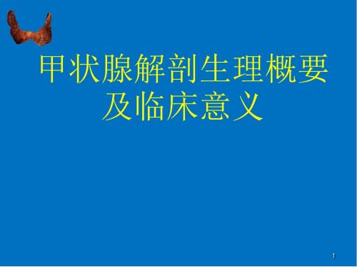 甲状腺基本解剖医学PPT课件