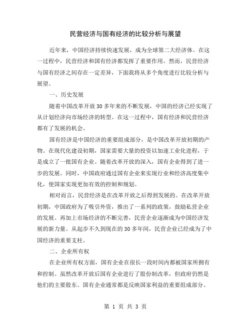 民营经济与国有经济的比较分析与展望