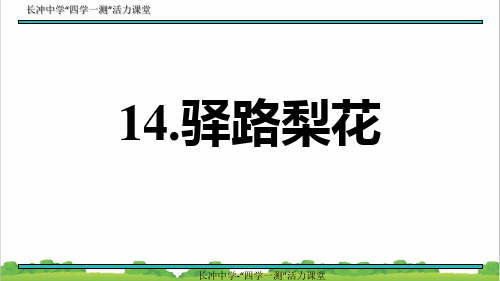 新人教部编版小学七年级语文14.驿路梨花