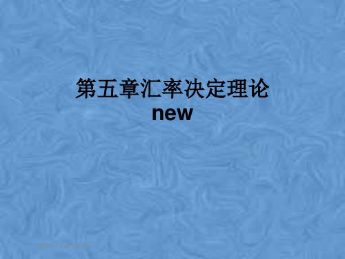 第五章汇率决定理论new