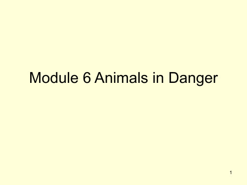 Module 6 Animals in DangerPPT课件