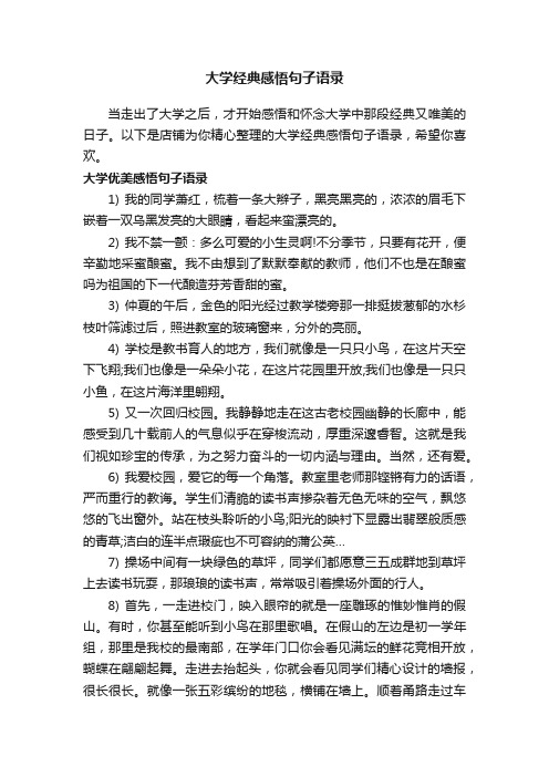 大学经典感悟句子语录