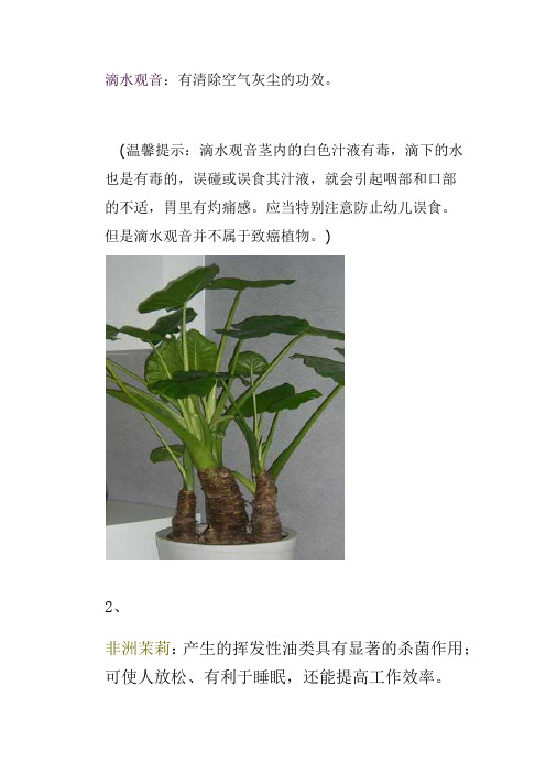 十八种室内常见绿色植物的功效