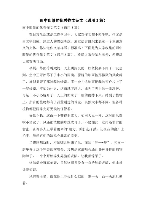 雨中即景的优秀作文范文(通用3篇)