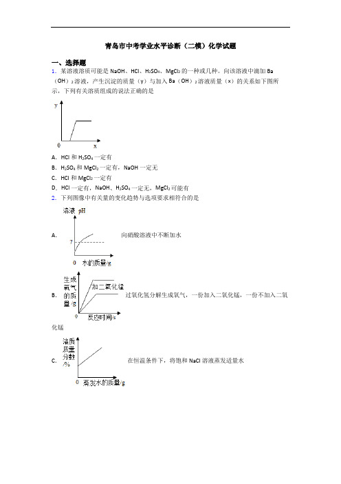 青岛市中考学业水平诊断(二模)化学试题