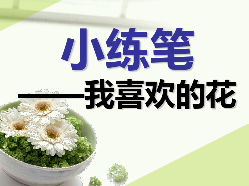 小练笔 花