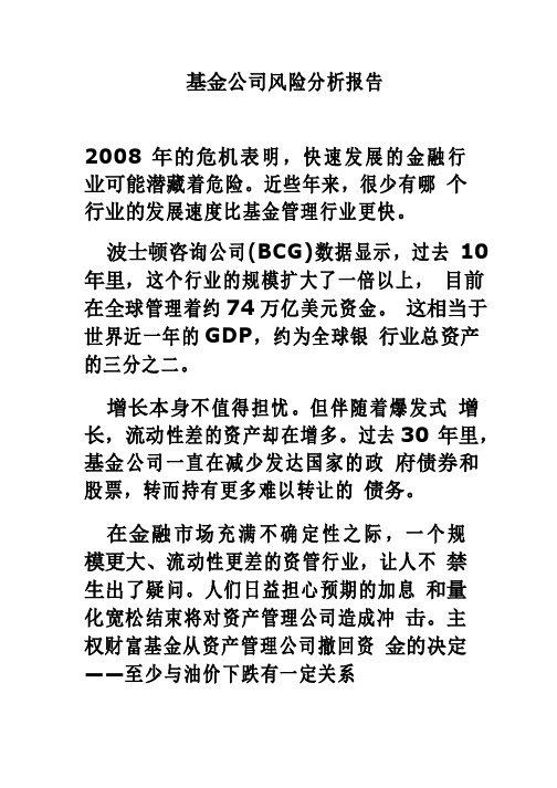 基金公司风险分析报告