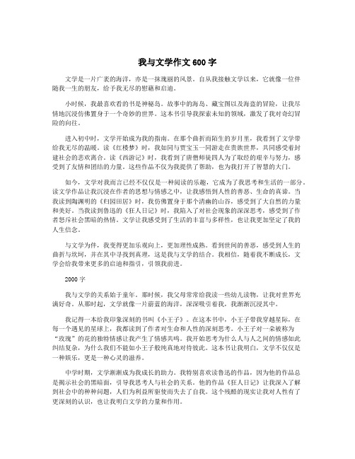 我与文学作文600字