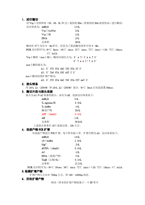 微卫星引物筛选步骤