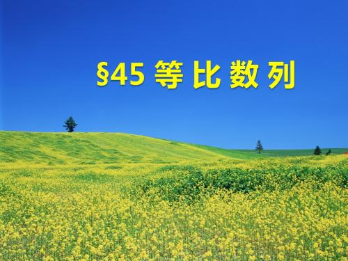 等比数列(高三一轮复习课件)