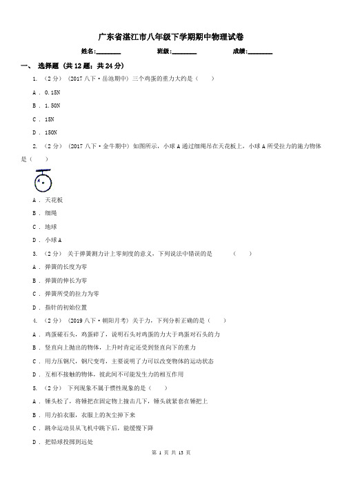广东省湛江市八年级下学期期中物理试卷