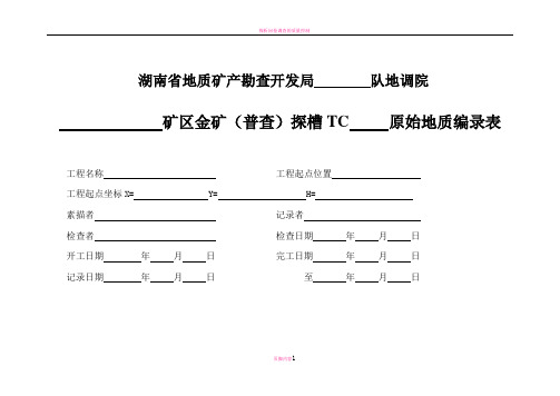 探槽编录表格(全)