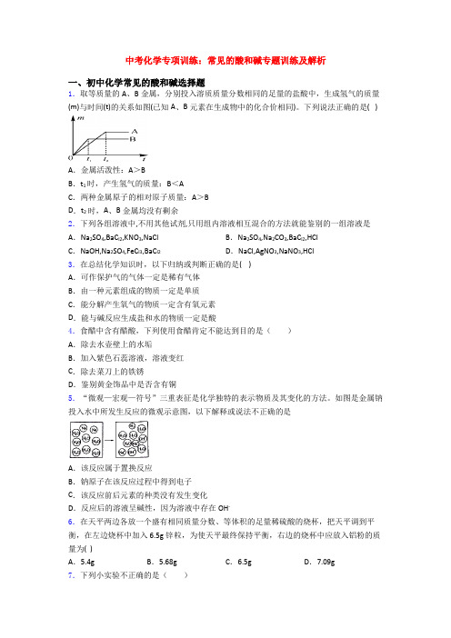 中考化学专项训练：常见的酸和碱专题训练及解析