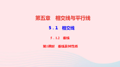 七年级数学下册第五章相交线与平行线5.1相交线5.1.2垂线第1课时垂线及其性质作业课件新版新人教版