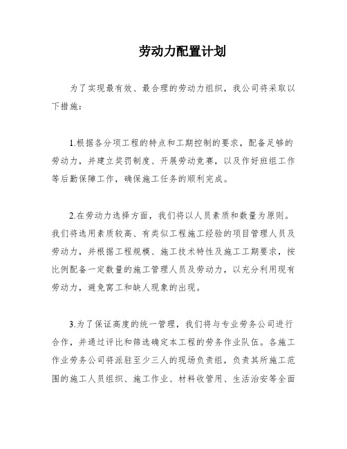 劳动力配置计划