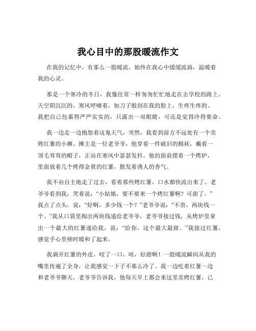 我心目中的那股暖流作文