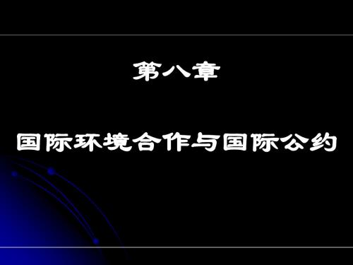 09国际环境合作与国际公约