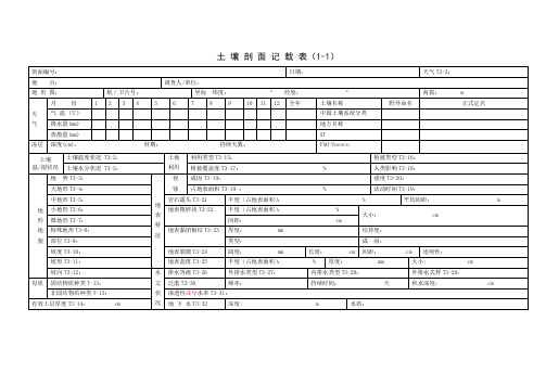 野外土壤剖面记载表