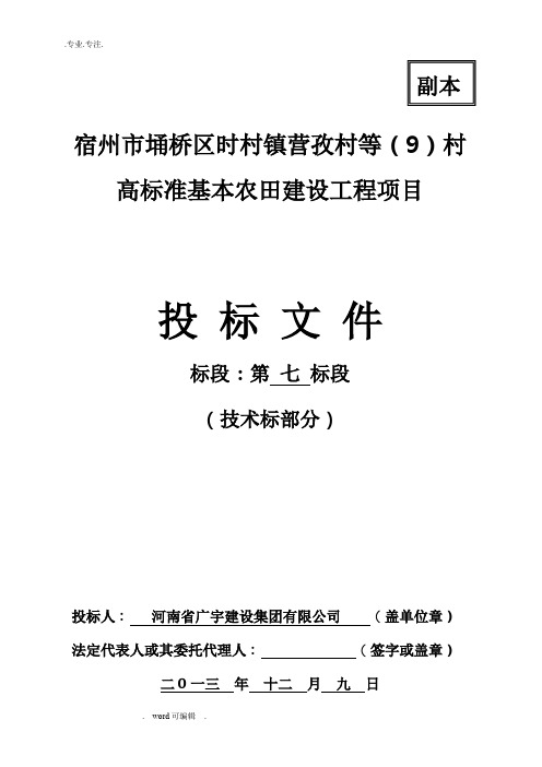 水利高标准基本农田建设项目技术标范本