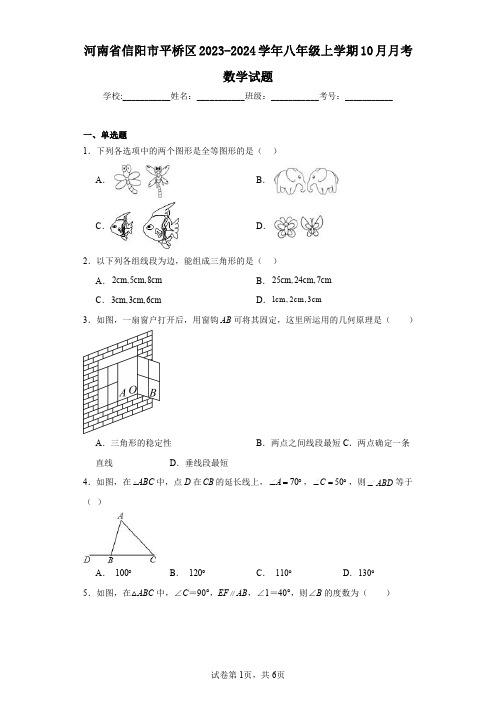 河南省信阳市平桥区2023-2024学年八年级上学期10月月考数学试题