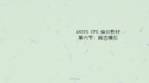 CFX培训教材瞬态模拟课件