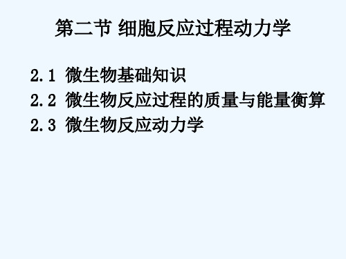 第二章生物反应动力学细胞反应