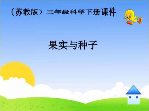 最新苏教版小学科学三年级下册《果实和种子》公开课课件1 (1)