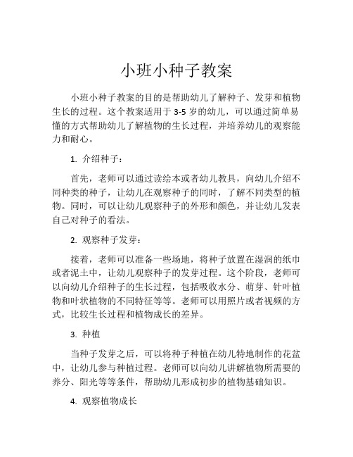 小班小种子教案