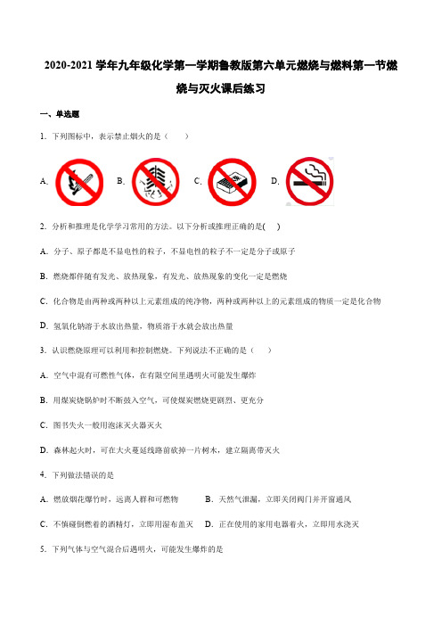 2020-2021学年九年级化学第一学期鲁教版第六单元燃烧与燃料第一节燃烧与灭火课后练习