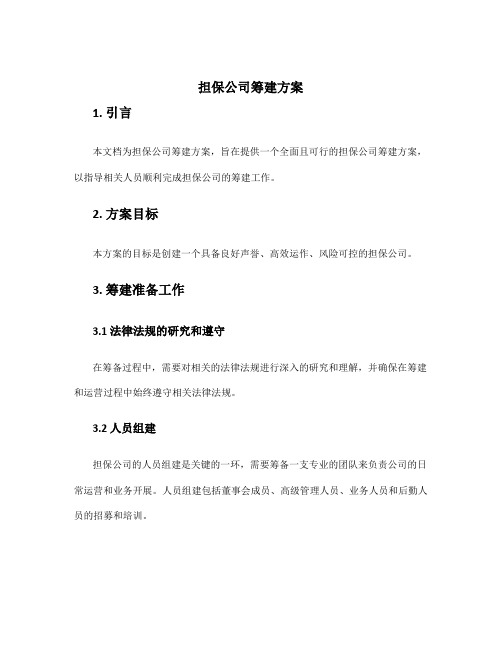 担保公司筹建方案