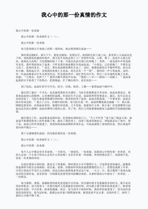 我心中的那一份真情的作文