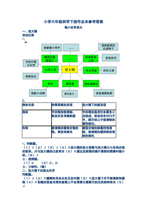 新教科版六年级下册科学学生活动手册参考答案