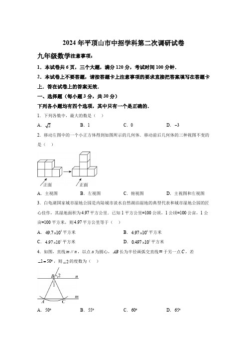 2024年河南省平顶山市中考二模数学试题(含解析)