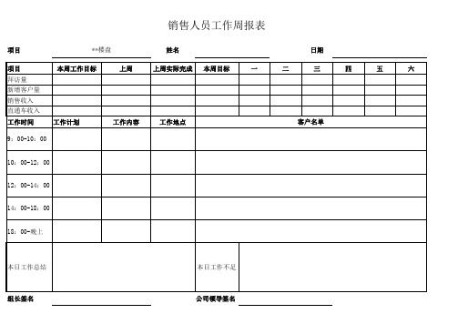 销售人员日报表模板