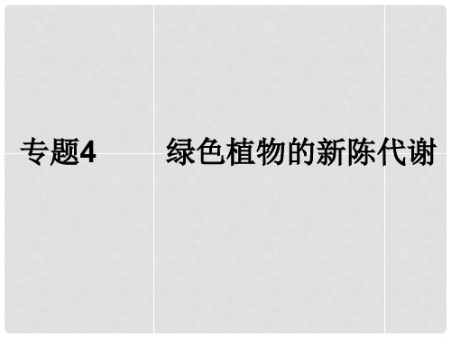 浙江省初中科学毕业生学业考试复习 专题4 绿色植物的新陈代谢课件 浙教版