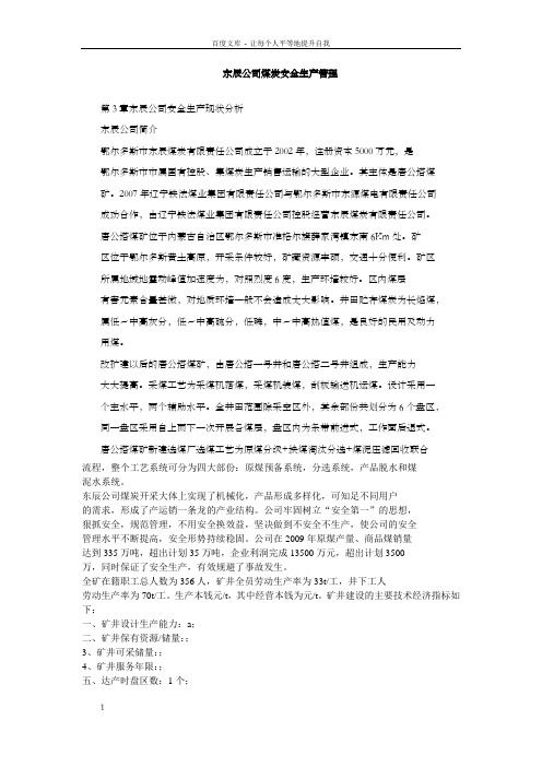 东辰公司煤炭安全生产管理