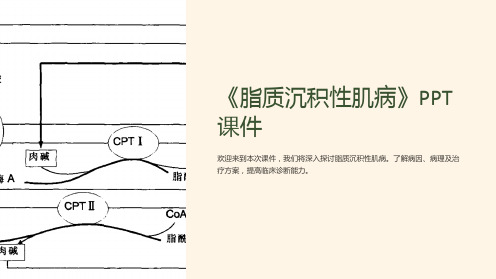 《脂质沉积性肌病》课件