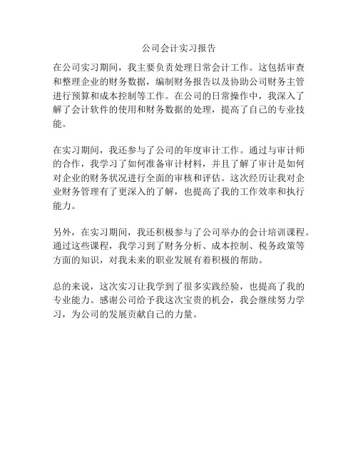 公司会计实习报告