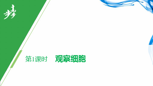 2020-2021学年高一新教材生物必修第一册【步步高】学习笔记(人教通用版版)