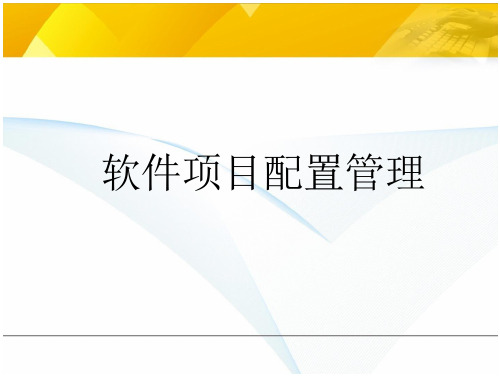 软件项目配置管理 