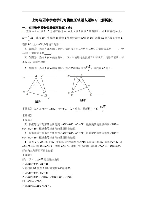 上海迎园中学数学几何模型压轴题专题练习(解析版)